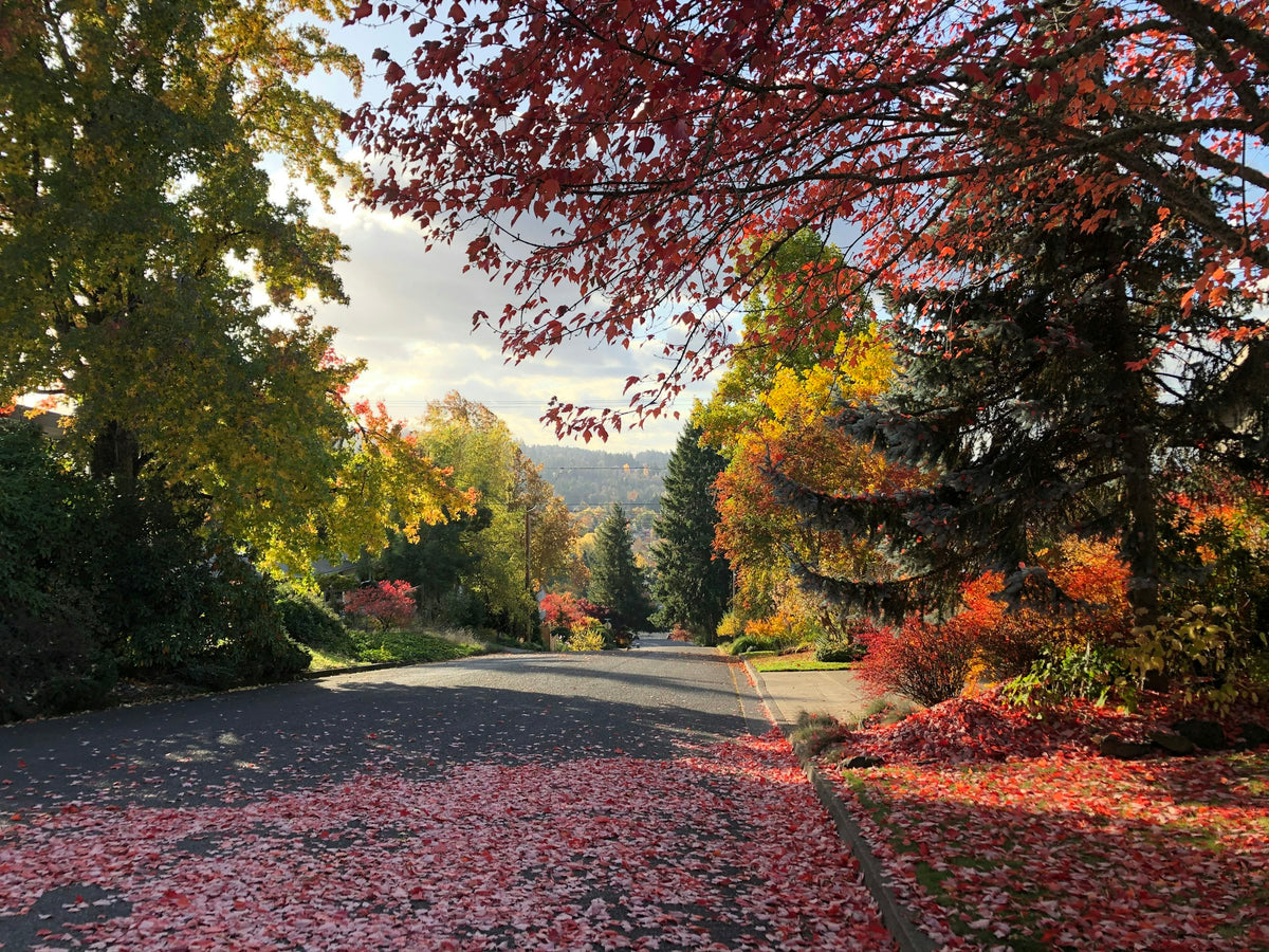 Eugene, OR