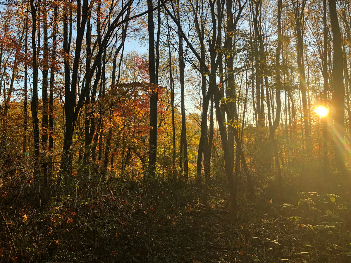 Beckley, WV