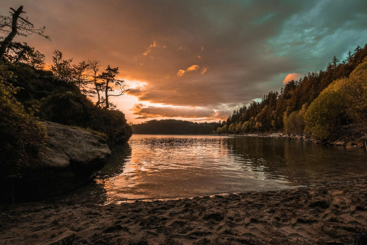 Bellingham, WA
