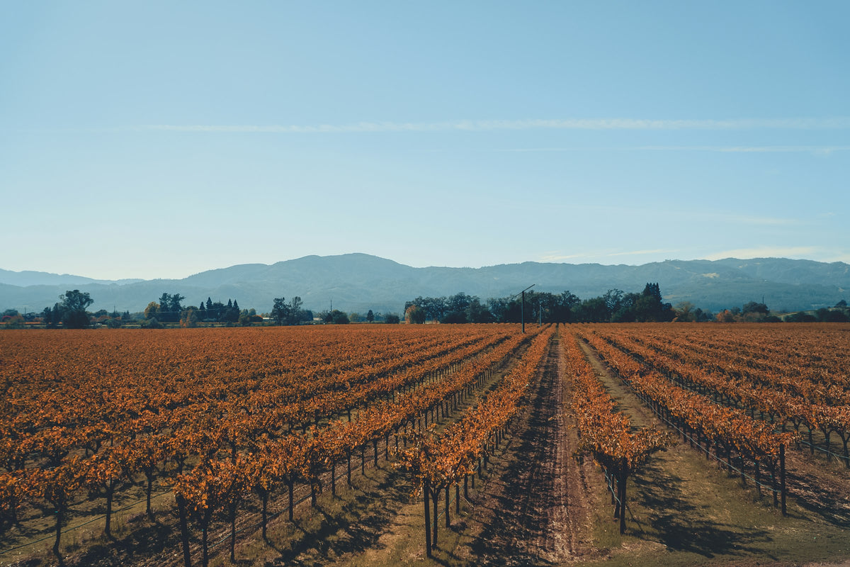 Napa, CA