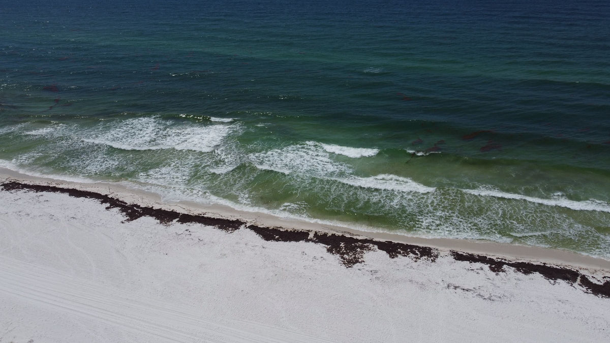 Pensacola, FL