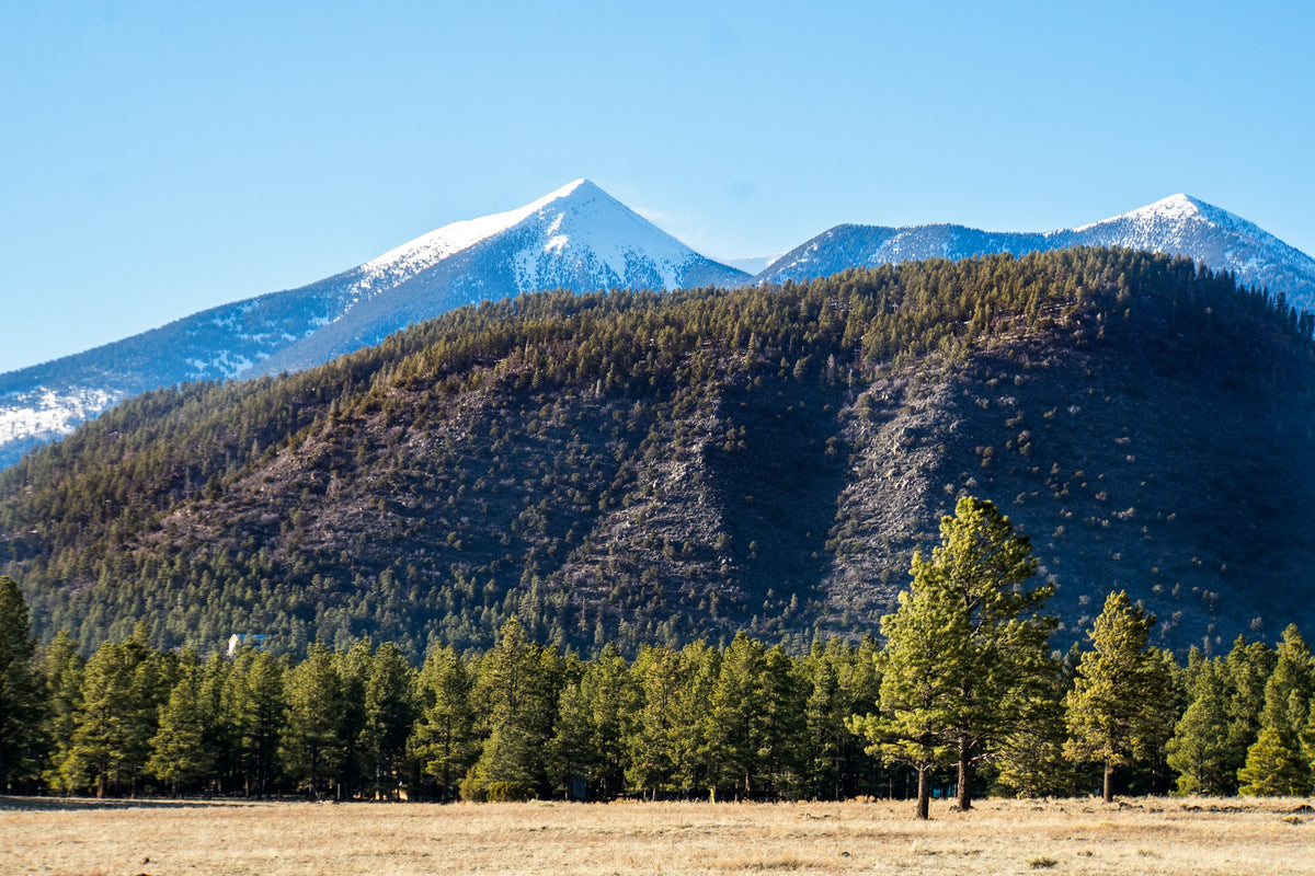Flagstaff, AZ