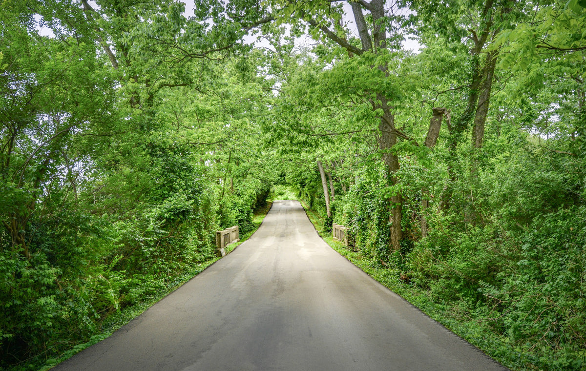 Lexington, KY