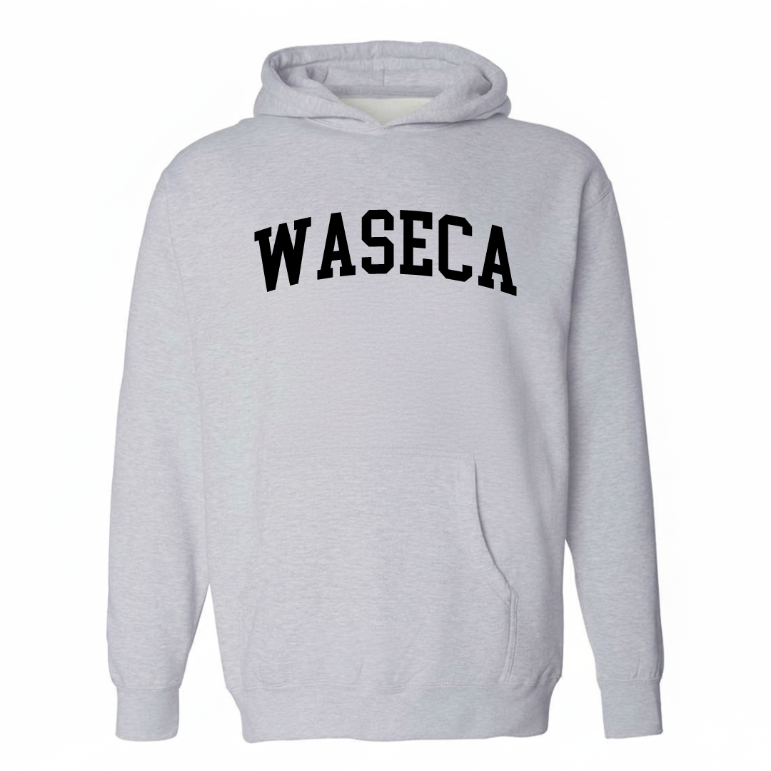 Heather-gray hoodie with the Waseca varsity arched lettering design on the chest.