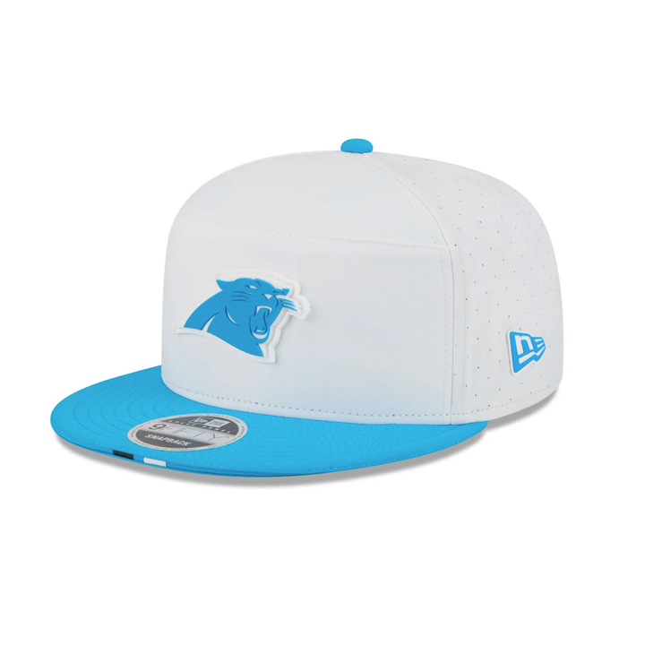 Carolina Panthers Snapback Hat